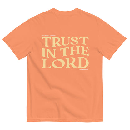 Trust in the Lord t-shirt